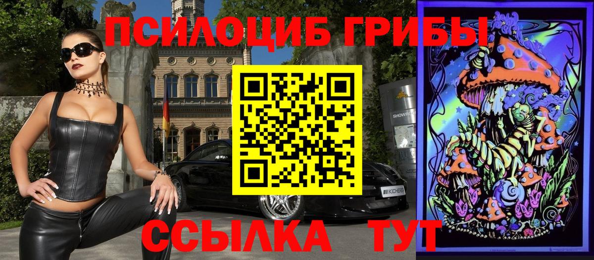 Кузнецк  Галлюциногенные грибы Cubensis  Вход с VPN 