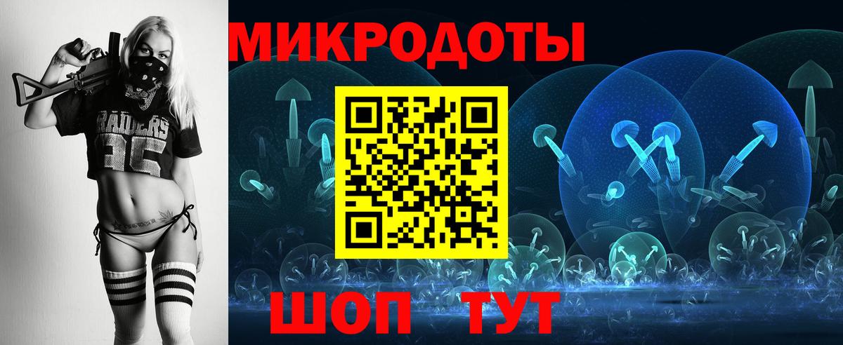 Галлюциногенные грибы Cubensis Кузнецк